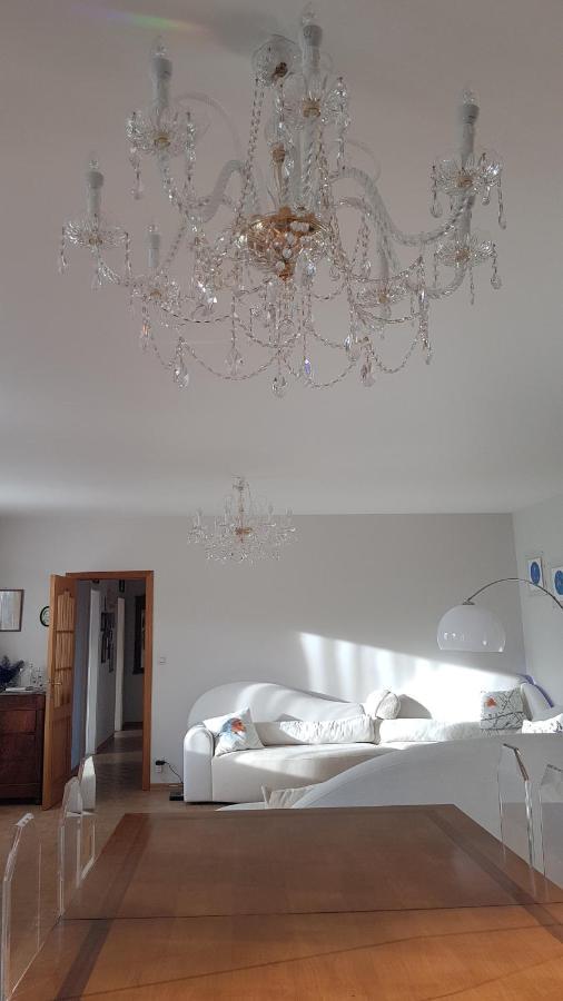 Dans Le Coeur Historique De Apartment